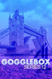 Gogglebox: Temporada 12 {year} En Netflix