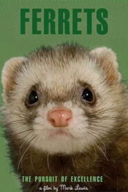 Ferrets Online En Netflix