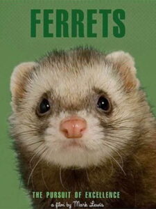 Ferrets Online En Netflix