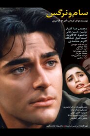 سام و نرگس Online En Netflix