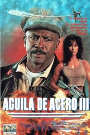 Iron Eagle III Online En Netflix