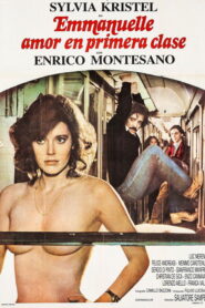 Un amore in prima classe Online En Netflix