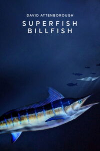 Superfish Online En Netflix