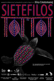 Sietefilos Online En Netflix