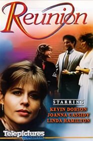 Reunion Online En Netflix