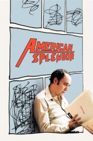 Esplendor americano Online En Netflix