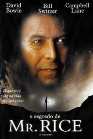 Mr. Rice’s Secret Online En Netflix