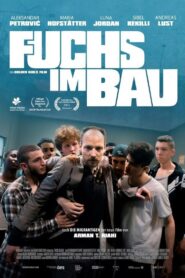 Fuchs im Bau Online En Netflix