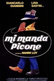 Mi manda Picone Online En Netflix