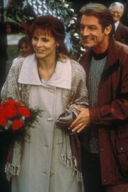 Their Second Chance Online En Netflix