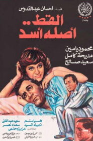 القط أصله أسد Online En Netflix