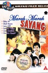 Marah-marah Sayang Online En Netflix