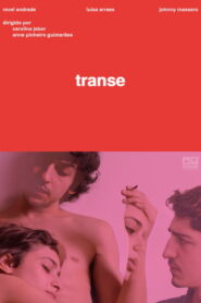 Transe Online En Netflix