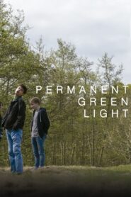 Feu vert permanent Online En Netflix