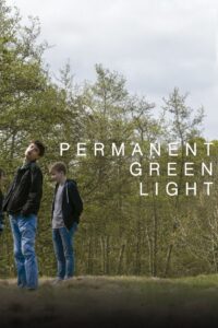 Feu vert permanent Online En Netflix