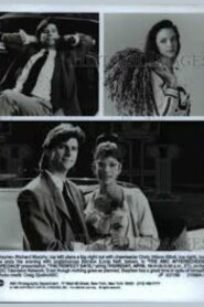 The Perfect Date Online En Netflix