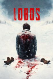 Wolves Online En Netflix