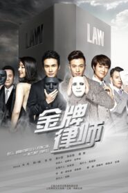 金牌律师 2014 En Netflix