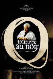 L’oeuvre au noir Online En Netflix