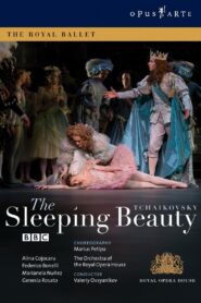 The Sleeping Beauty Online En Netflix