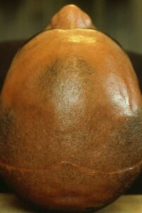 7th Nov. Online En Netflix