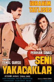 Seni Yakacaklar Online En Netflix