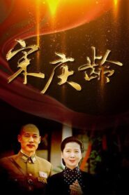 宋庆龄 2010 En Netflix