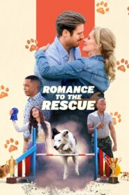 Romance to the Rescue Online En Netflix