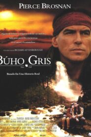 Grey Owl Online En Netflix