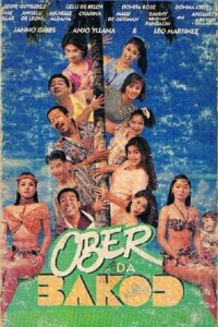 Ober Da Bakod: The Movie Online En Netflix