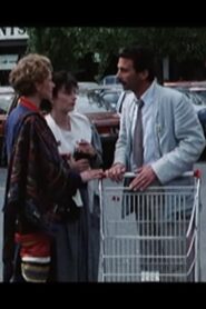 Le Tiers providentiel Online En Netflix