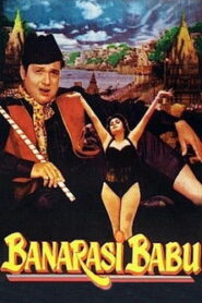 Banarasi Babu Online En Netflix