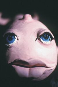 L’éléphant et la baleine Online En Netflix