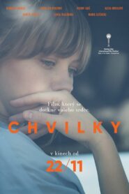 Chvilky Online En Netflix