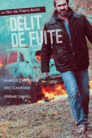 Délit de fuite Online En Netflix