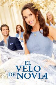 The Wedding Veil Online En Netflix