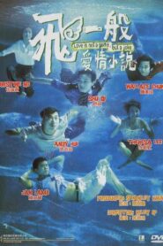 飛一般愛情小說 Online En Netflix