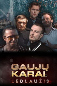 Gang Wars: Temporada 6 {year} En Netflix