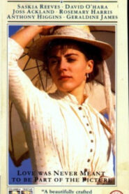 The Bridge Online En Netflix