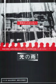 光の雨 Online En Netflix