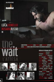 The Wait – L’attesa Online En Netflix