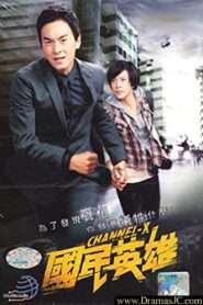 國民英雄 2010 En Netflix