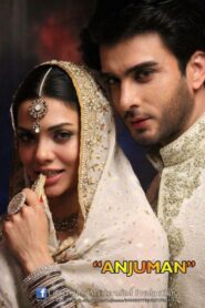 Anjuman Online En Netflix