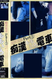 痴漢ももいろ電車 Online En Netflix