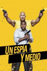 Un espía y medio Online En Netflix