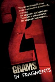 21 Grams: In Fragments Online En Netflix