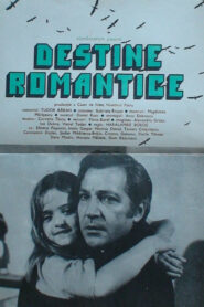 Destine romantice Online En Netflix