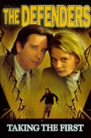 The Defenders: Taking the First Online En Netflix