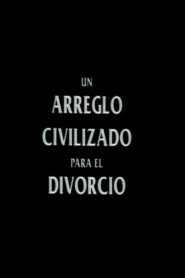 Un arreglo civilizado para el divorcio Online En Netflix
