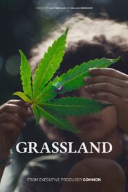 Grassland Online En Netflix